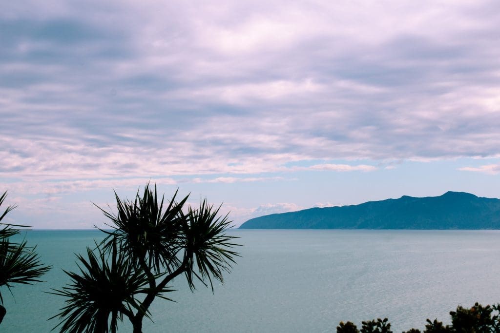 Budget-Friendly Photo Booth Hire in Wellington